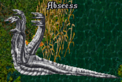 abscess.png